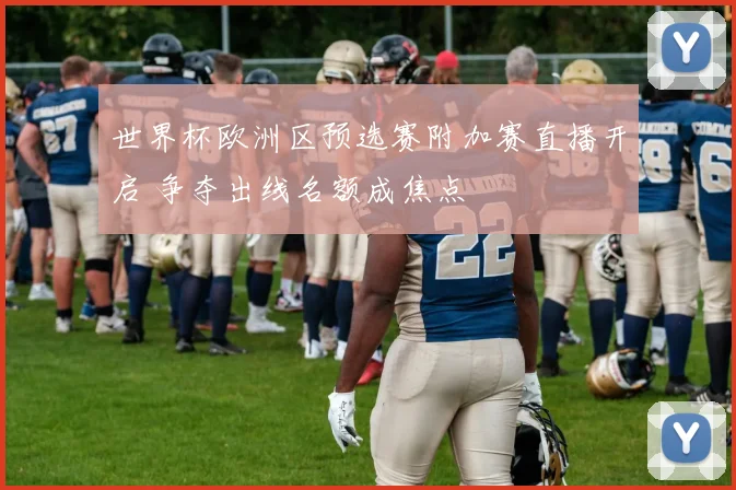 世界杯欧洲区预选赛附加赛直播开启 争夺出线名额成焦点