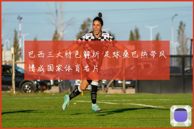 巴西三大特色解析 足球桑巴热带风情成国家体育名片
