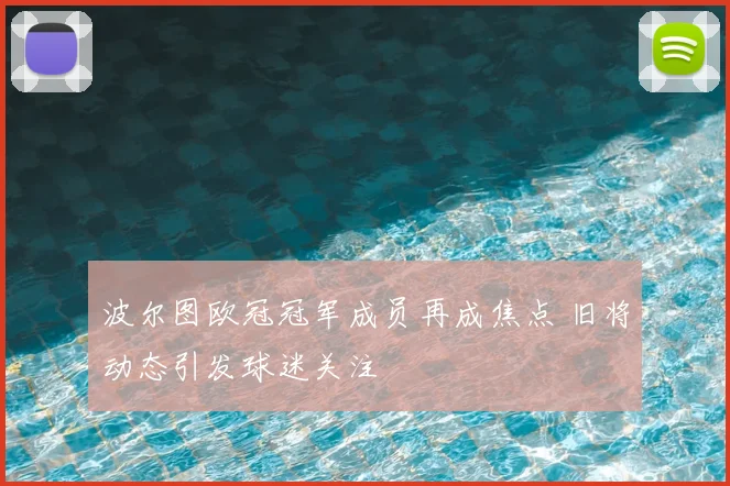 波尔图欧冠冠军成员再成焦点 旧将动态引发球迷关注