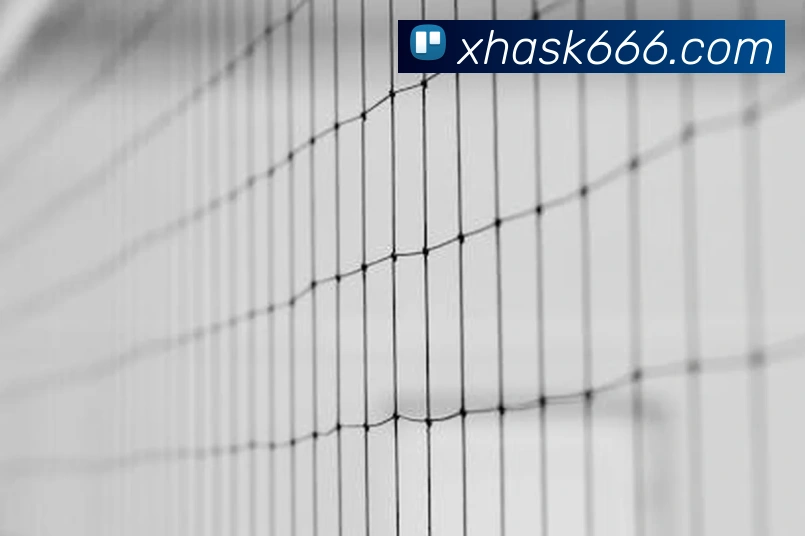 辅助工具 辅助工具